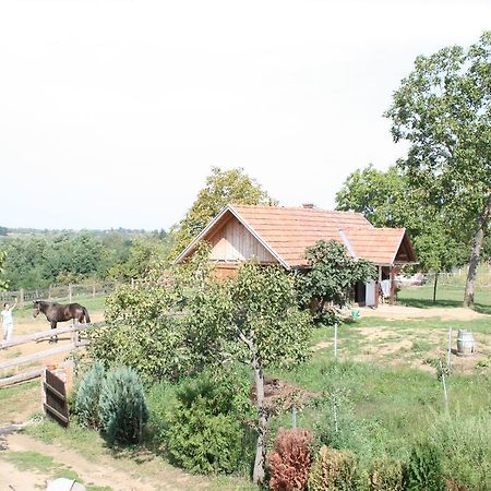 Farmica, Bed&Breakfast, Bazen Izdvojen Nekoliko Minuta Hoda Guest House Ðurđevac Cameră foto