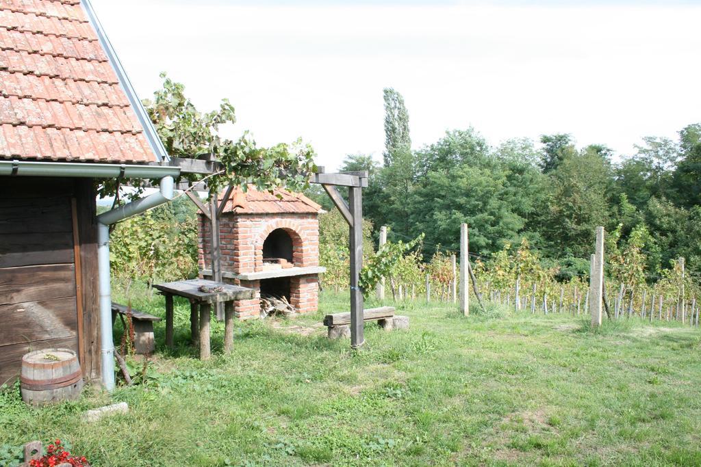 Farmica, Bed&Breakfast, Bazen Izdvojen Nekoliko Minuta Hoda Guest House Ðurđevac Cameră foto