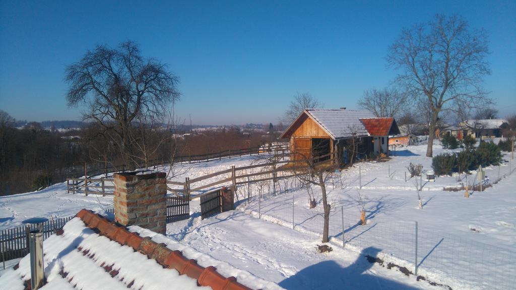 Farmica, Bed&Breakfast, Bazen Izdvojen Nekoliko Minuta Hoda Guest House Ðurđevac Exterior foto